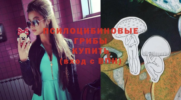 первитин Белоозёрский