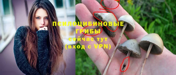 МДМА Белокуриха