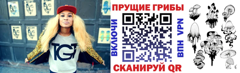 Галлюциногенные грибы Cubensis  магазин продажи наркотиков  Монино 