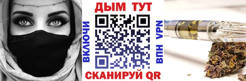 хочу наркоту  Монино  Конопля сатива 